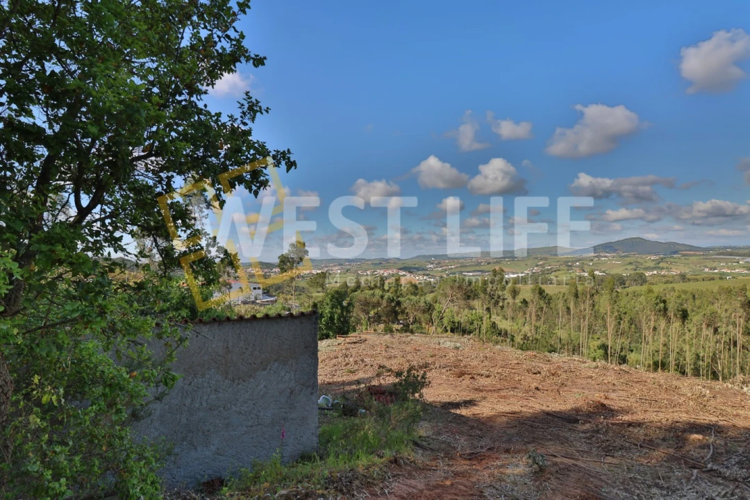 Terreno Misto para Venda em Azueira e Sobral da Abelheira Foto 4