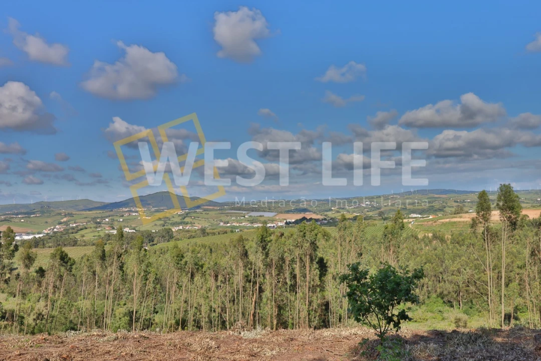 Terreno Misto para Venda em Azueira e Sobral da Abelheira Foto 5