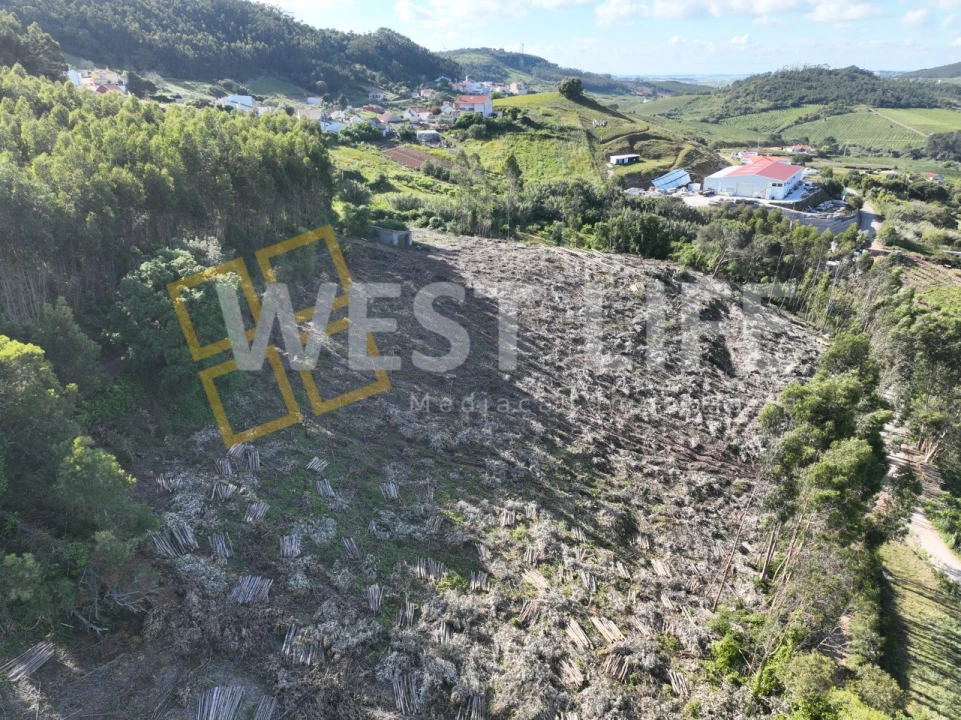 Terreno Misto para Venda em Azueira e Sobral da Abelheira Foto 8