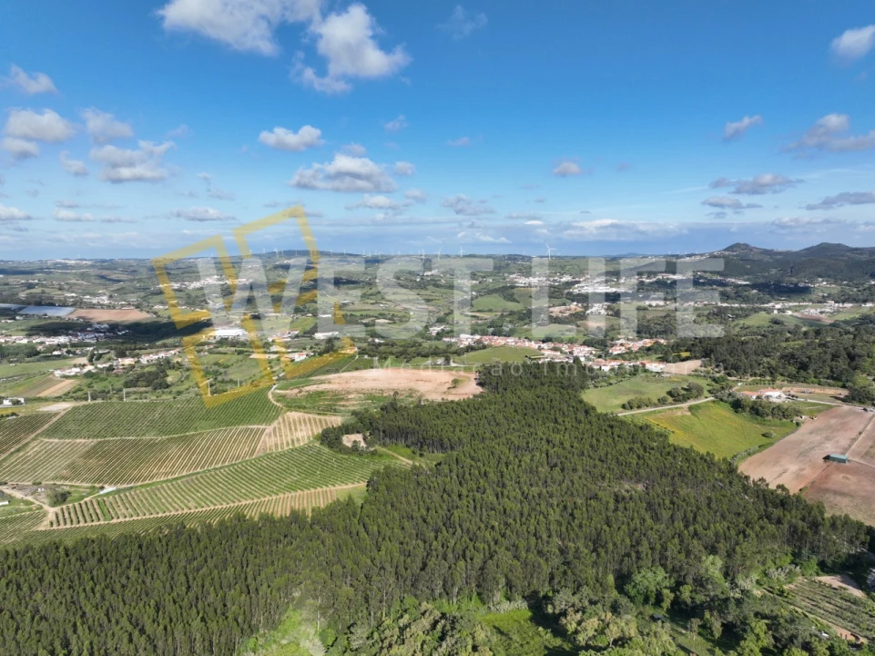 Terreno Misto para Venda em Azueira e Sobral da Abelheira Foto 12