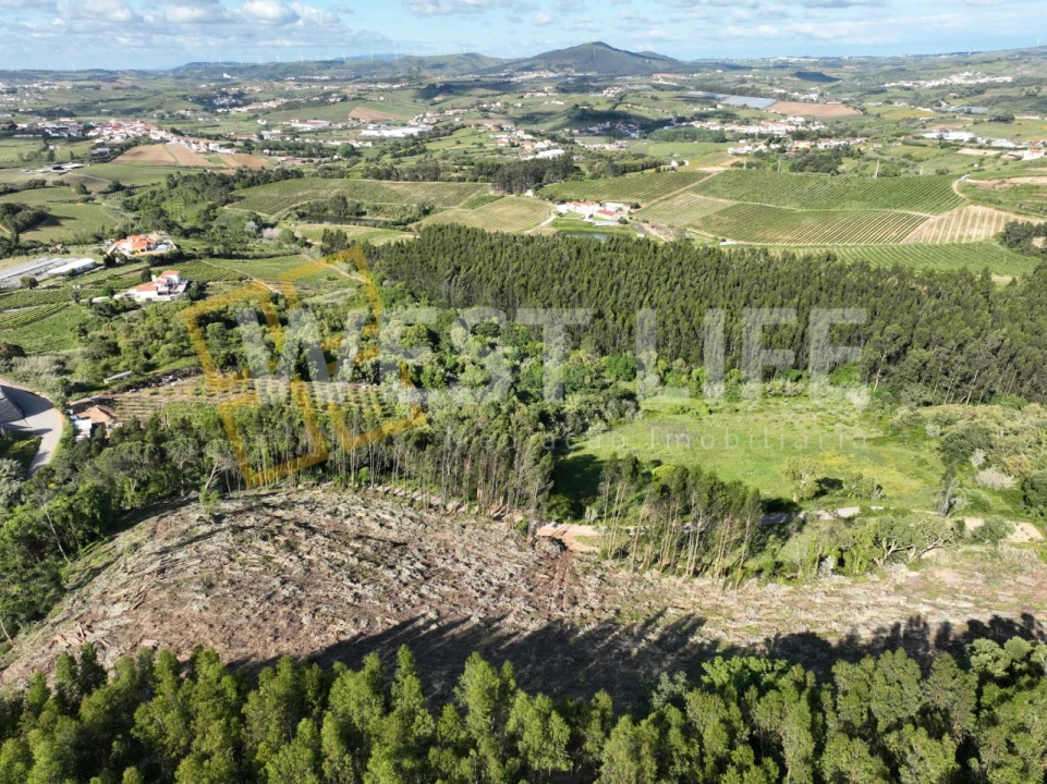 Terreno Misto para Venda em Azueira e Sobral da Abelheira Foto 13