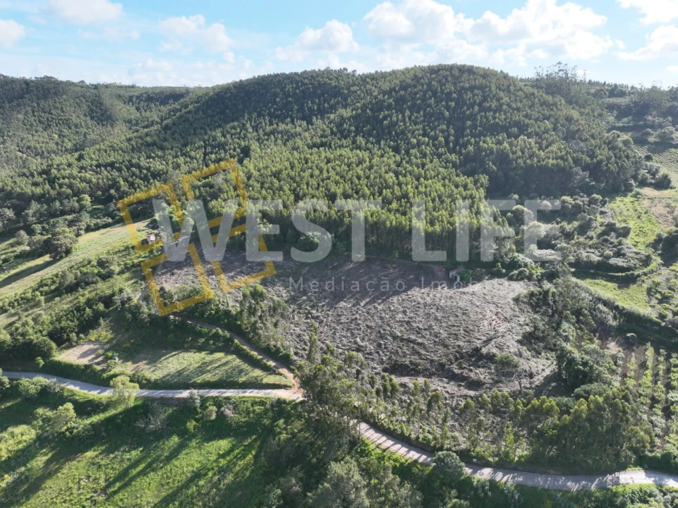 Terreno Misto para Venda em Azueira e Sobral da Abelheira Foto 16