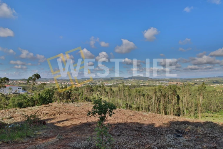 Terreno Misto para Venda em Azueira e Sobral da Abelheira Foto 1