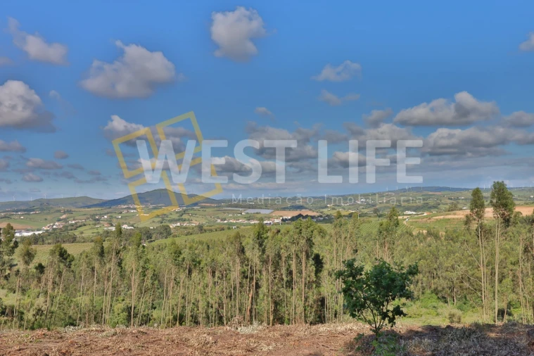 Terreno Misto para Venda em Azueira e Sobral da Abelheira Foto 5