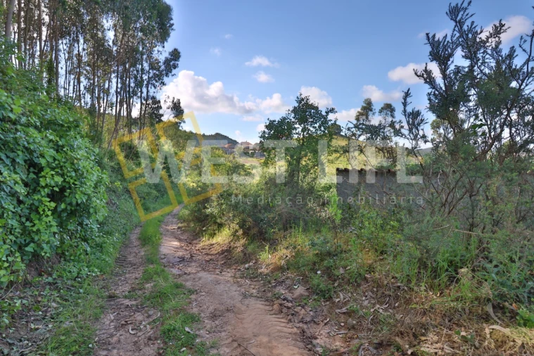 Terreno Misto para Venda em Azueira e Sobral da Abelheira Foto 6
