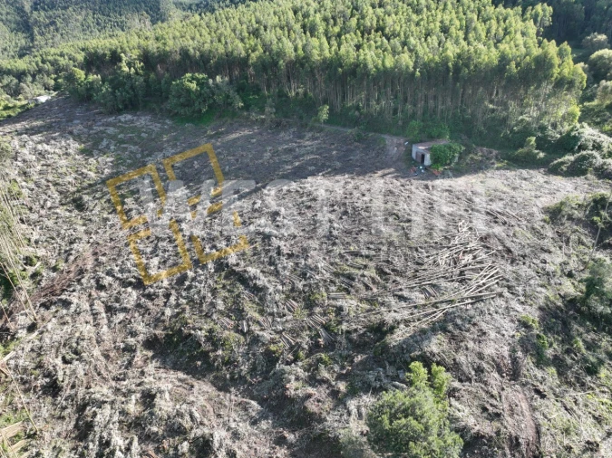 Terreno Misto para Venda em Azueira e Sobral da Abelheira Foto 7