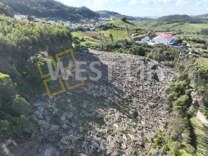 Terreno Misto para Venda em Azueira e Sobral da Abelheira Foto 8