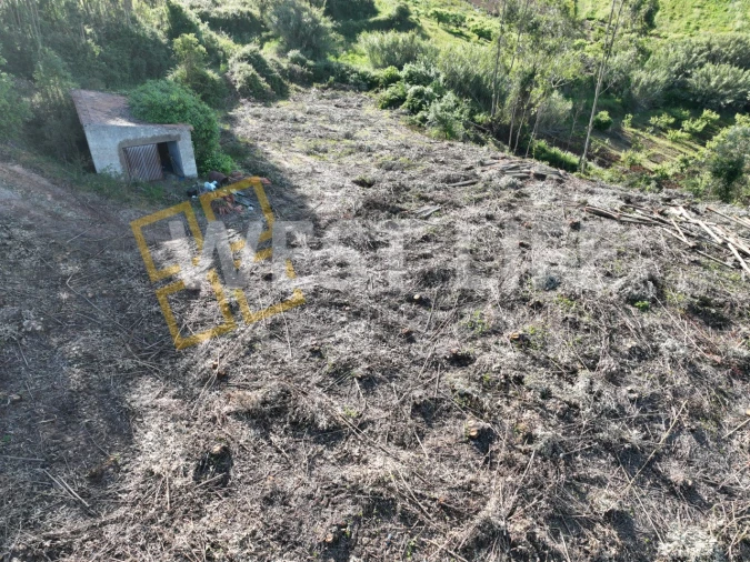 Terreno Misto para Venda em Azueira e Sobral da Abelheira Foto 9