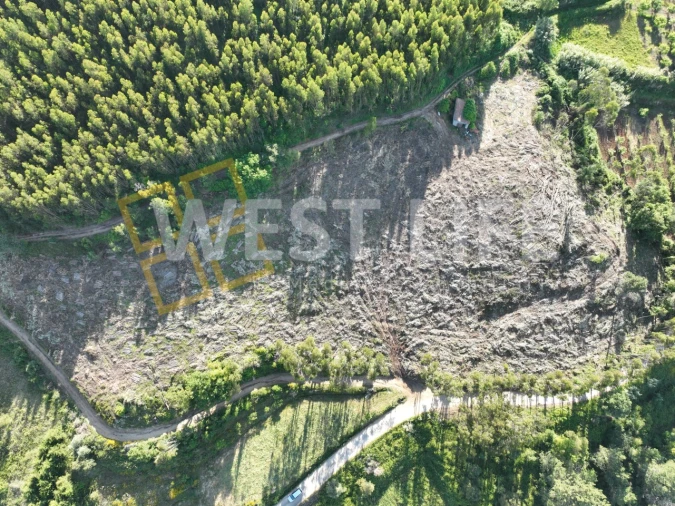 Terreno Misto para Venda em Azueira e Sobral da Abelheira Foto 10