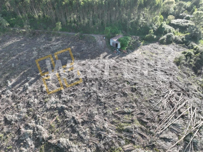 Terreno Misto para Venda em Azueira e Sobral da Abelheira Foto 17