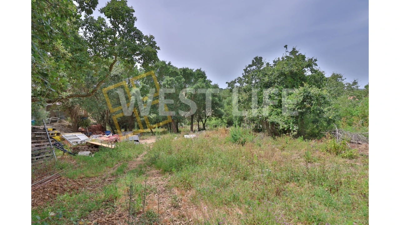 Terreno Agricola ou Rústico para Venda em Turcifal Foto 4