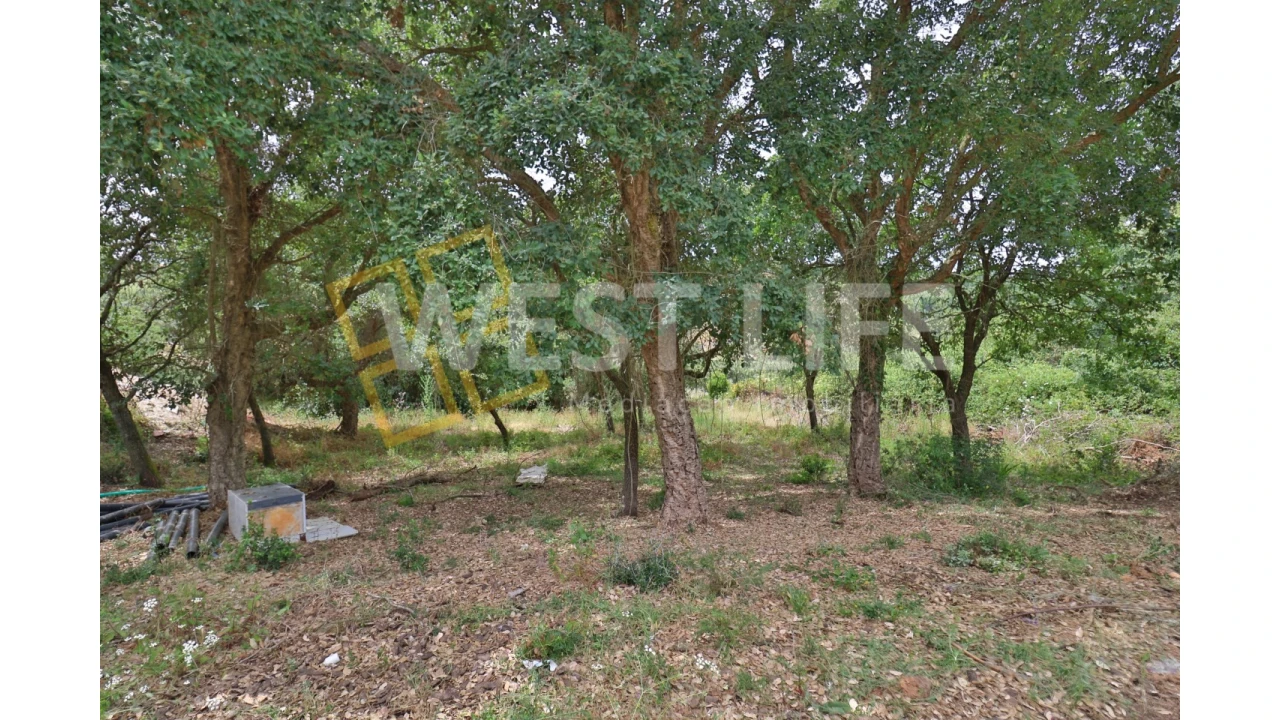 Terreno Agricola ou Rústico para Venda em Turcifal Foto 6
