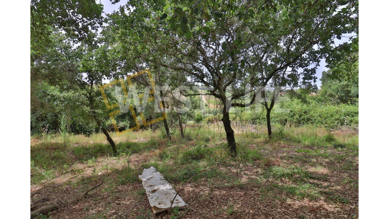 Terreno Agricola ou Rústico para Venda em Turcifal Foto 7