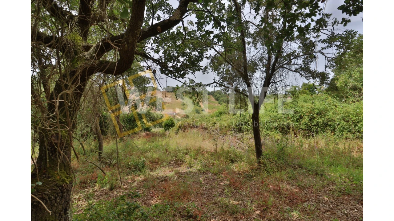 Terreno Agricola ou Rústico para Venda em Turcifal Foto 8