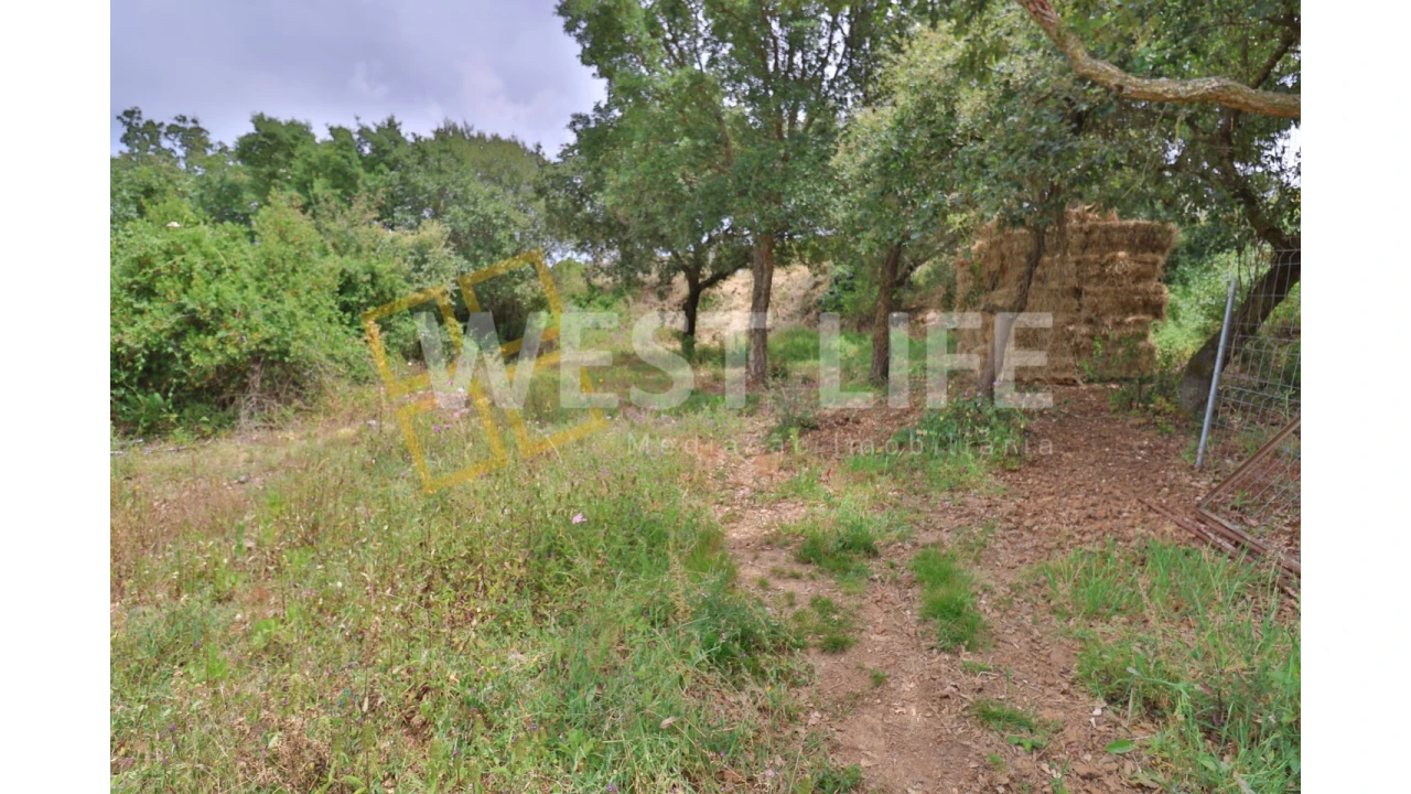 Terreno Agricola ou Rústico para Venda em Turcifal Foto 9