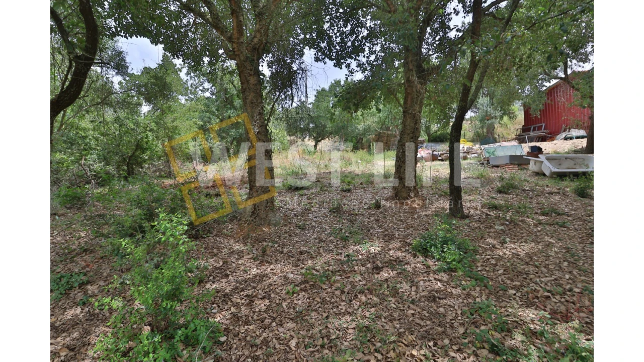 Terreno Agricola ou Rústico para Venda em Turcifal Foto 10