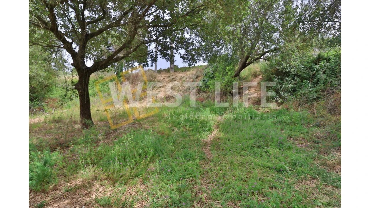 Terreno Agricola ou Rústico para Venda em Turcifal Foto 11