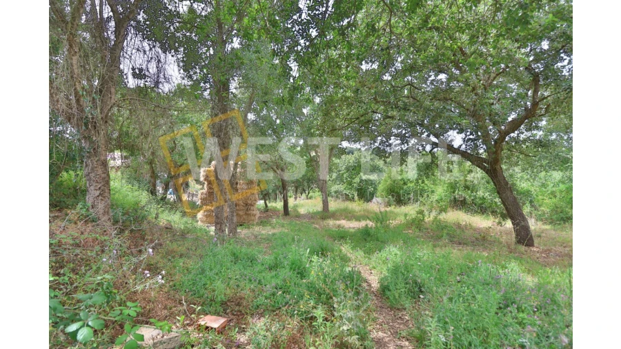 Terreno Agricola ou Rústico para Venda em Turcifal Foto 2