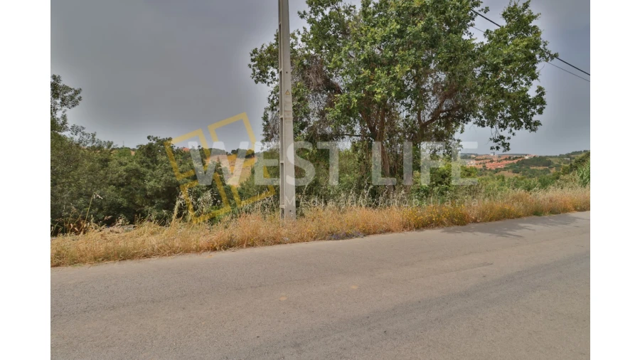 Terreno Agricola ou Rústico para Venda em Turcifal Foto 5