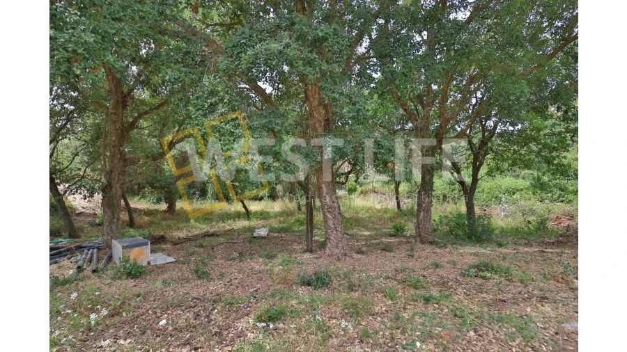 Terreno Agricola ou Rústico para Venda em Turcifal Foto 6