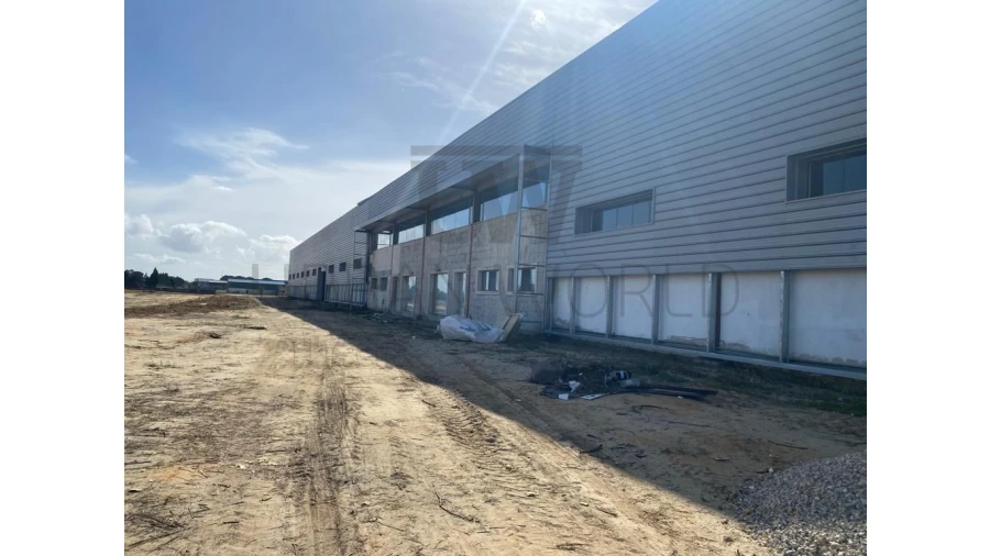 Armazém para Venda em Montijo e Afonsoeiro Foto 3