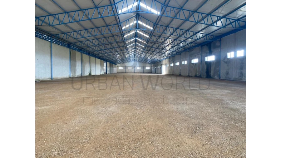 Armazém para Arrendamento em Montijo e Afonsoeiro Foto 1