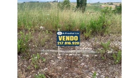 Terreno para Venda em Carvoeira e Carmões