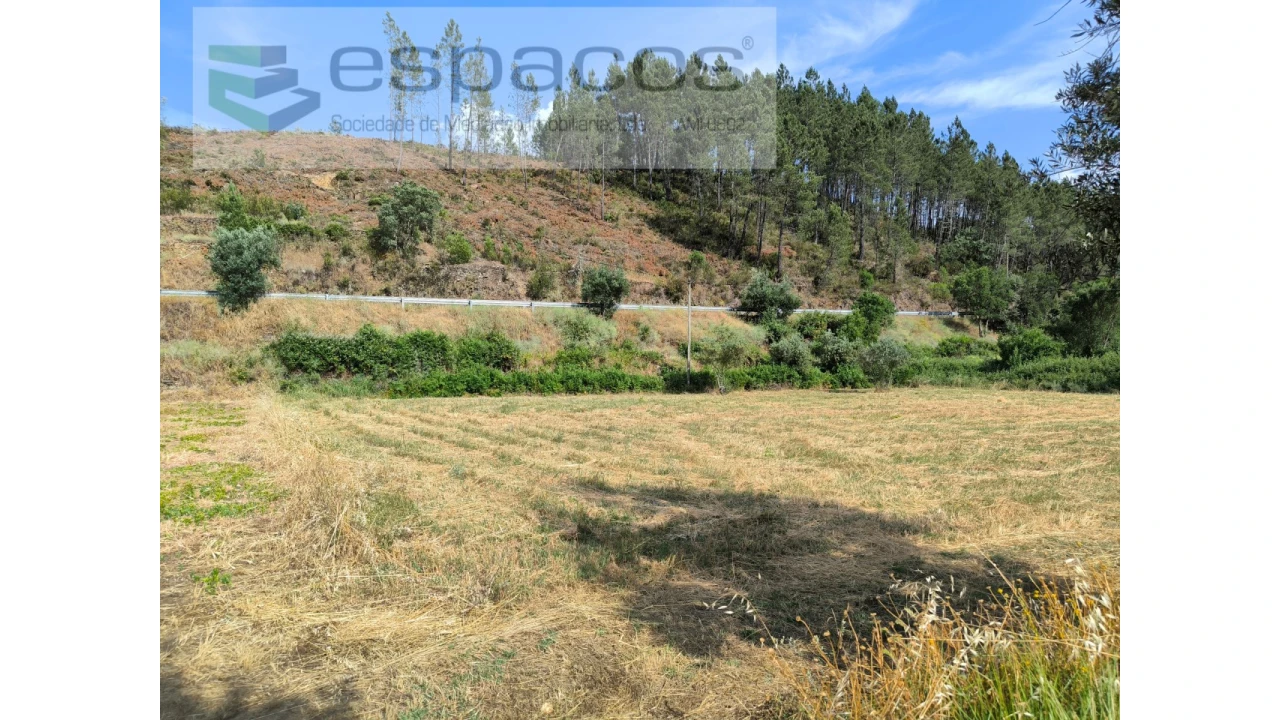 Terreno Agricola ou Rústico para Venda em Sarzedas Foto 6