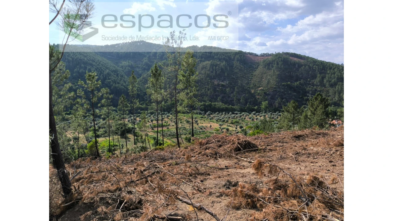 Terreno Agricola ou Rústico para Venda em Sarzedas Foto 1