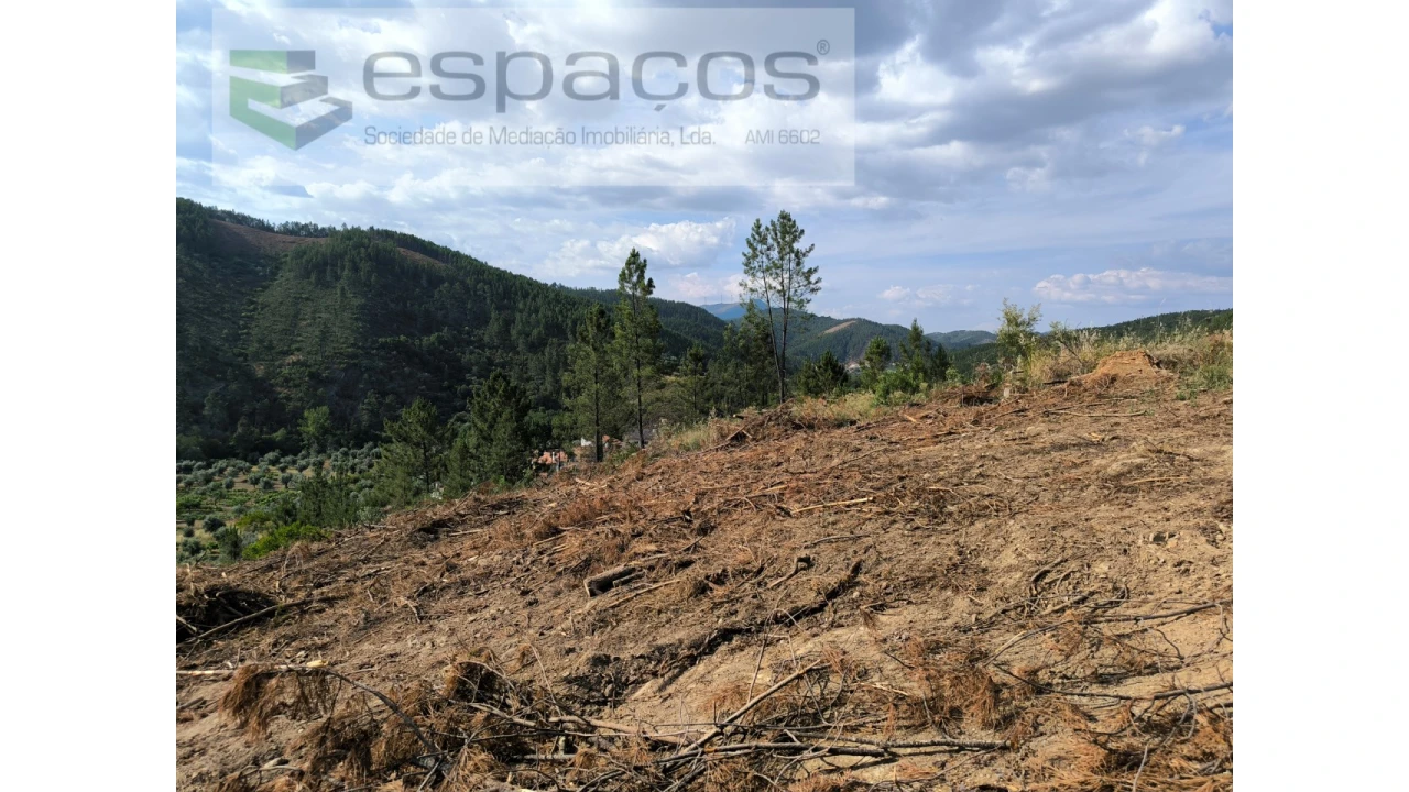 Terreno Agricola ou Rústico para Venda em Sarzedas Foto 4