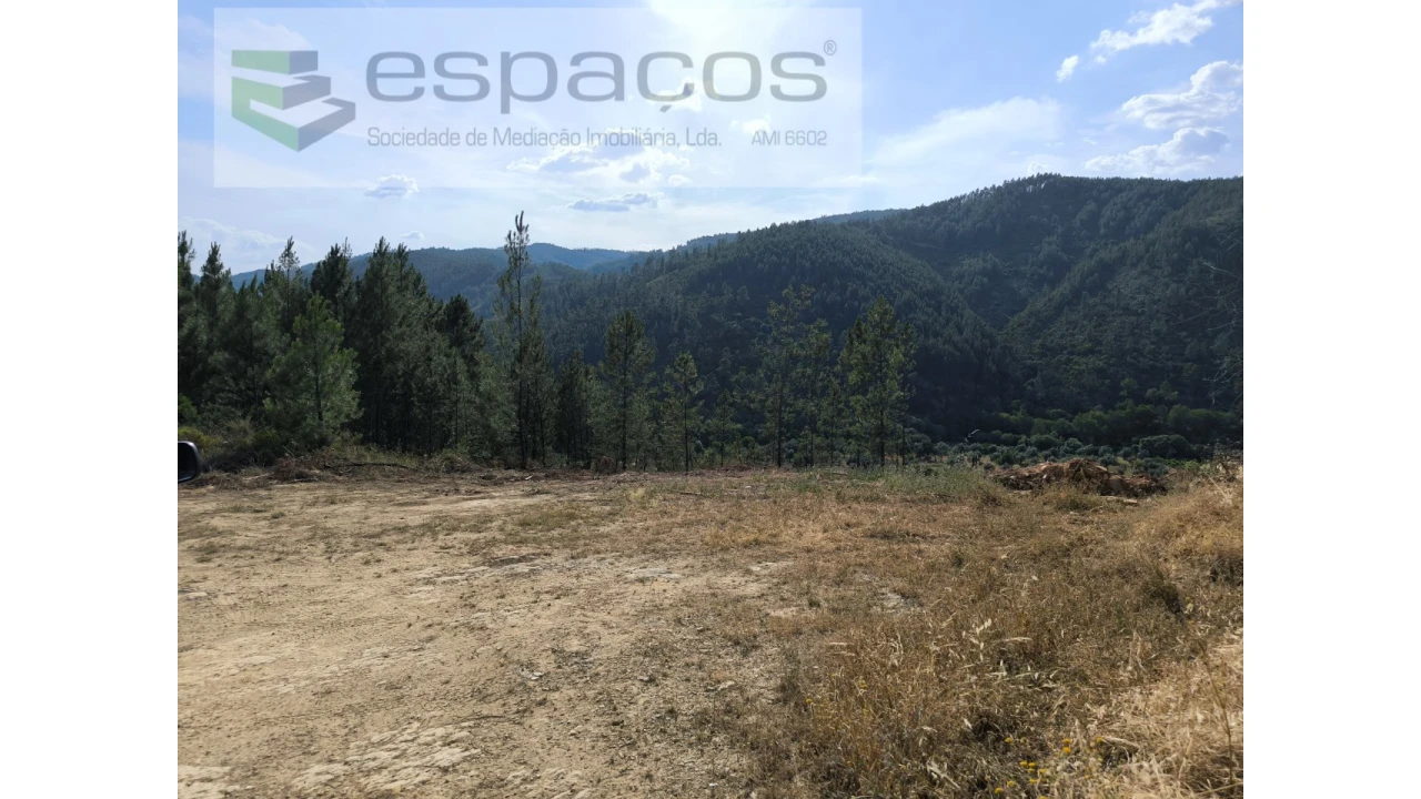 Terreno Agricola ou Rústico para Venda em Sarzedas Foto 3