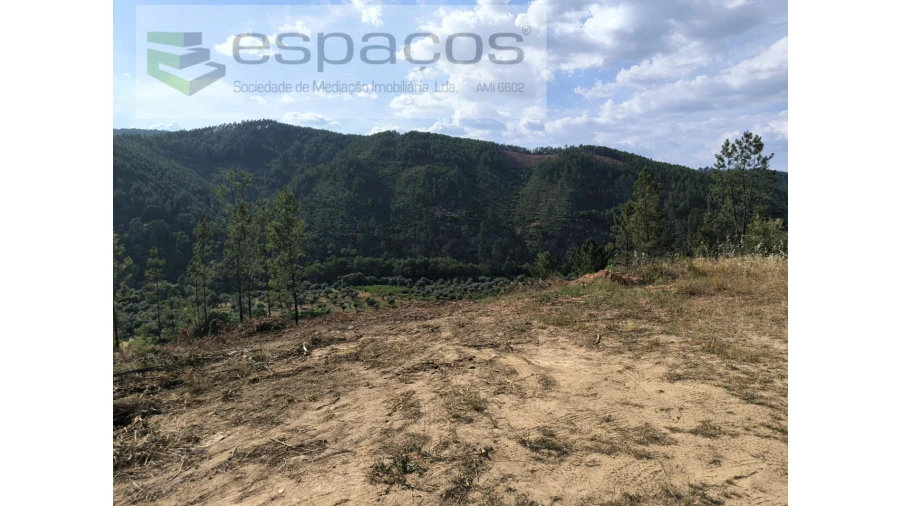 Terreno Agricola ou Rústico para Venda em Sarzedas Foto 2