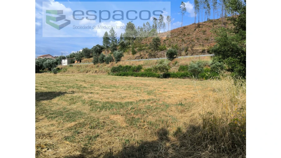 Terreno Agricola ou Rústico para Venda em Sarzedas Foto 5