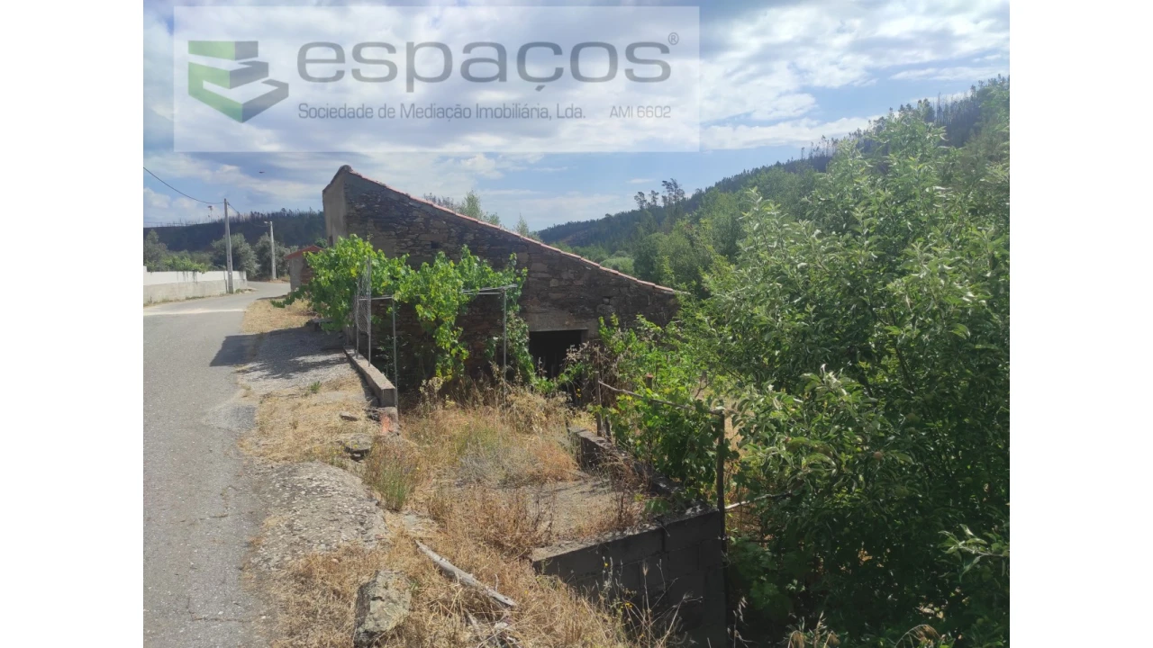 Terreno Agricola ou Rústico para Venda em Montes da Senhora Foto 2