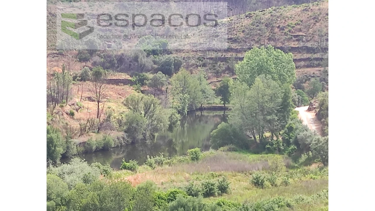 Terreno Agricola ou Rústico para Venda em Montes da Senhora Foto 5