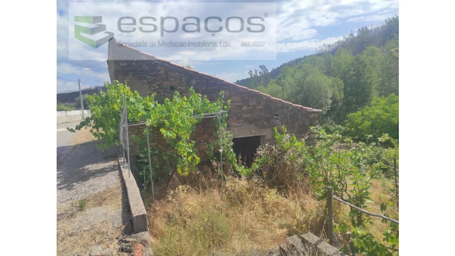 Terreno Agricola ou Rústico para Venda em Montes da Senhora Foto 3