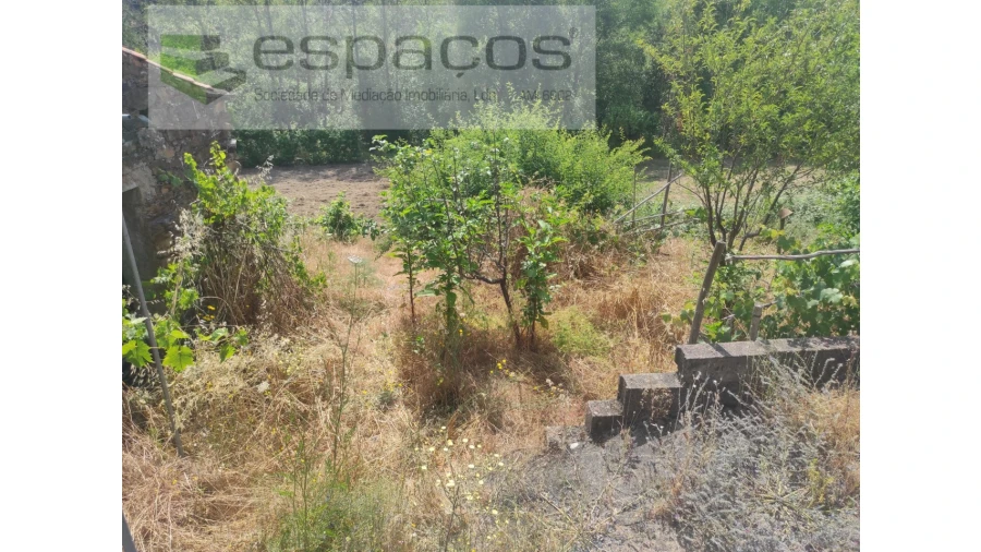 Terreno Agricola ou Rústico para Venda em Montes da Senhora Foto 6