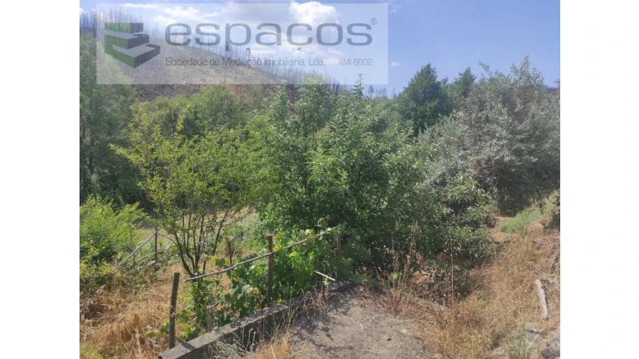 Terreno Agricola ou Rústico para Venda em Montes da Senhora Foto 8