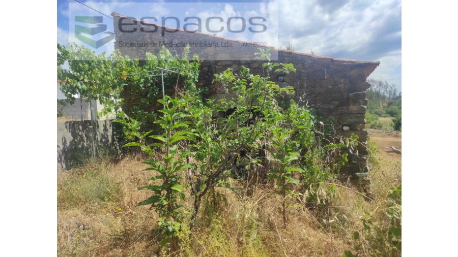 Terreno Agricola ou Rústico para Venda em Montes da Senhora Foto 11