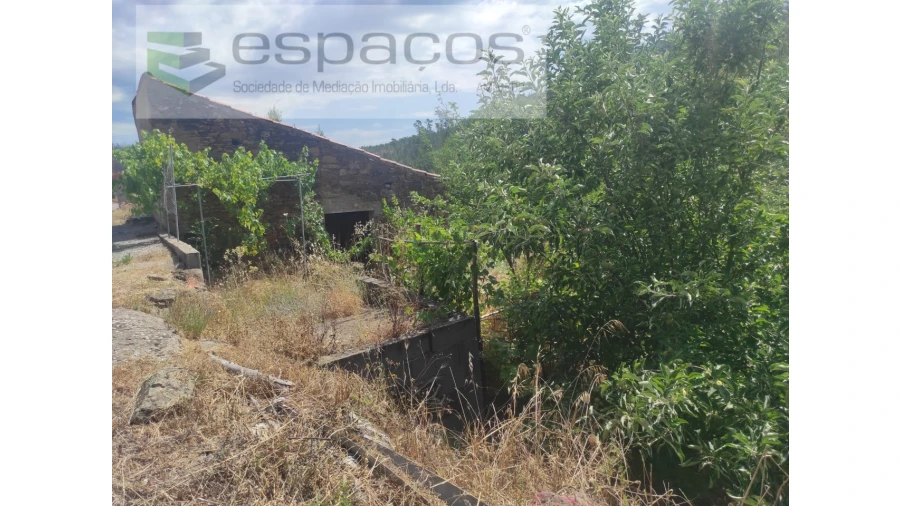 Terreno Agricola ou Rústico para Venda em Montes da Senhora Foto 12