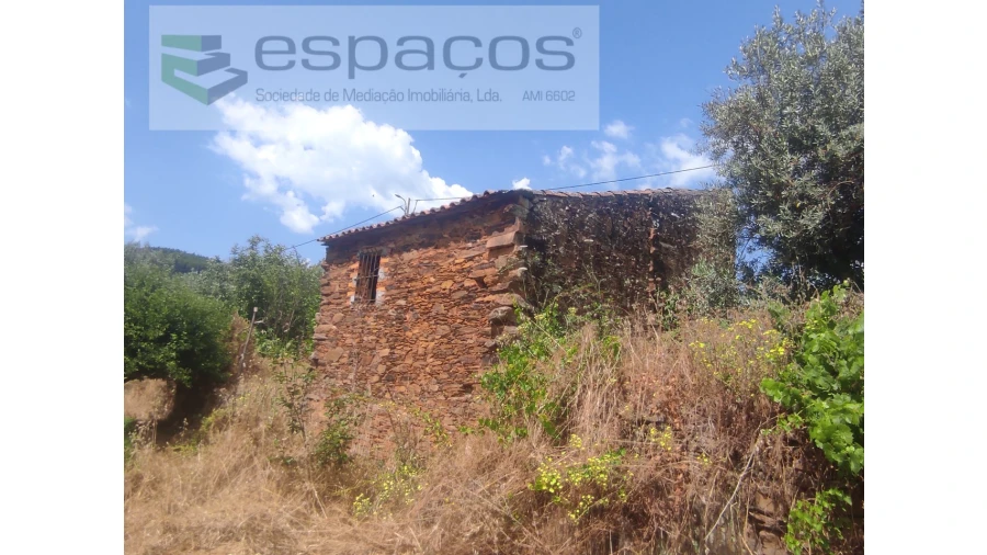 Terreno Agricola ou Rústico para Venda em Montes da Senhora Foto 1