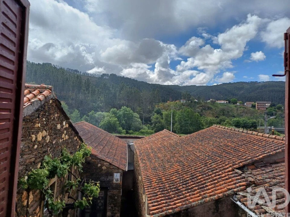 Moradia para Venda em Janeiro de Cima e Bogas de Baixo Foto 1