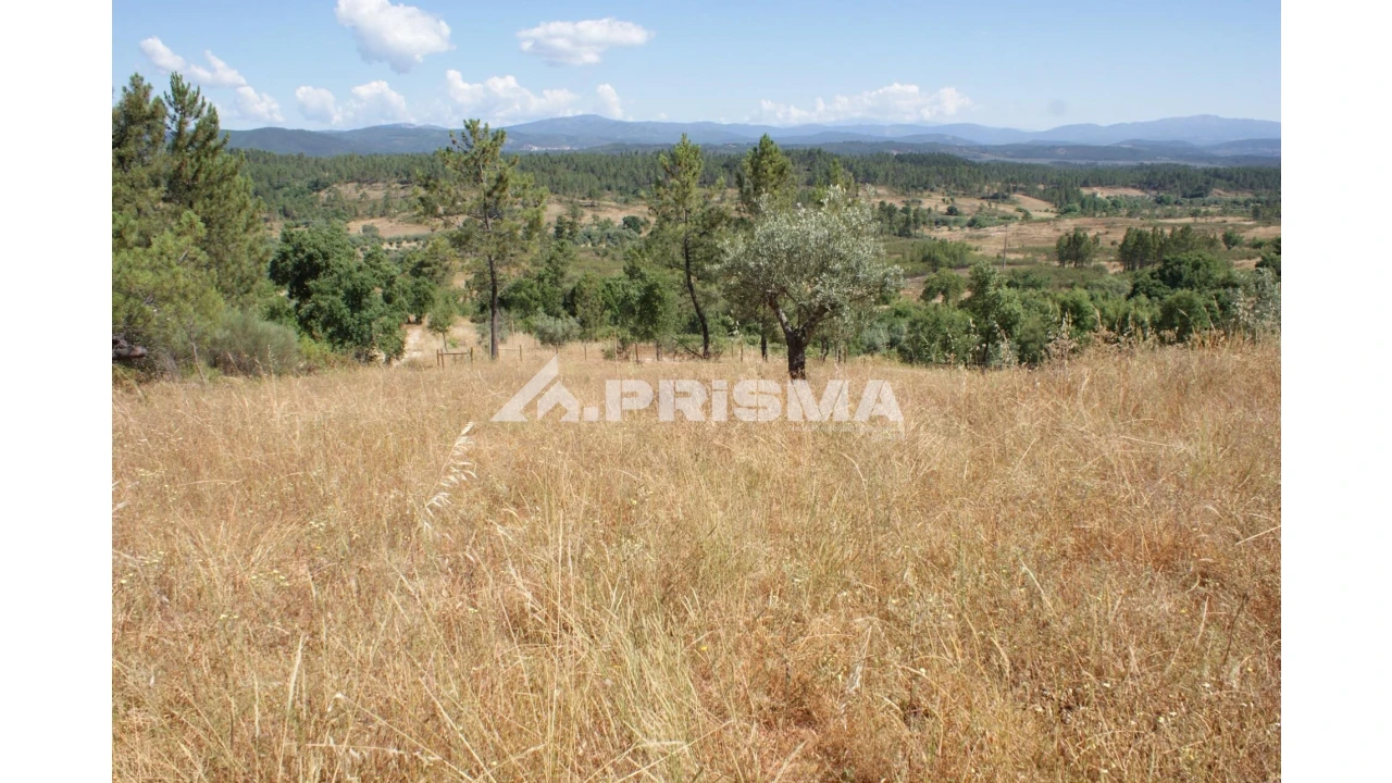 Terreno para Venda em Sarzedas Foto 13