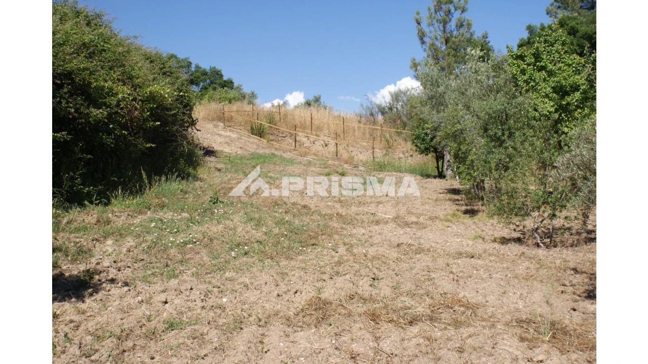 Terreno para Venda em Sarzedas Foto 26