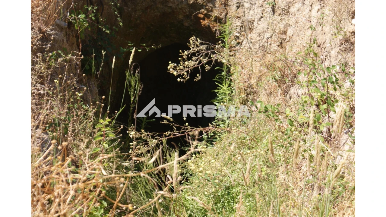 Terreno para Venda em Sarzedas Foto 25