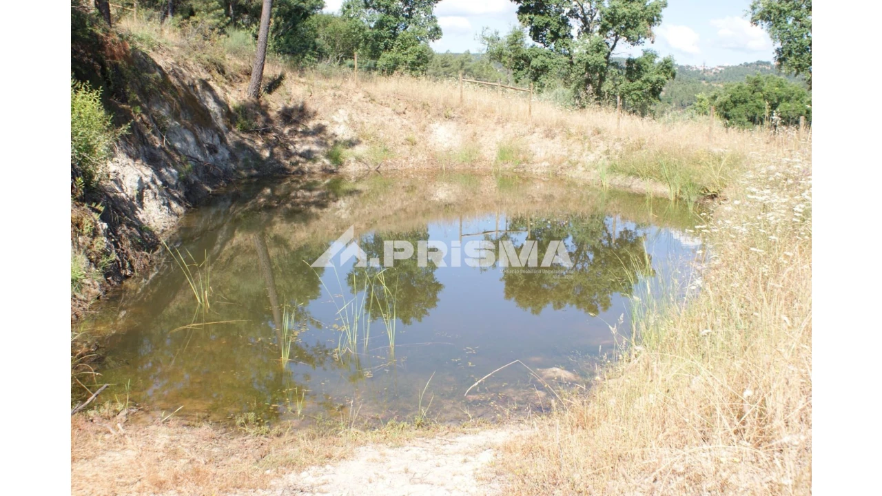 Terreno para Venda em Sarzedas Foto 7