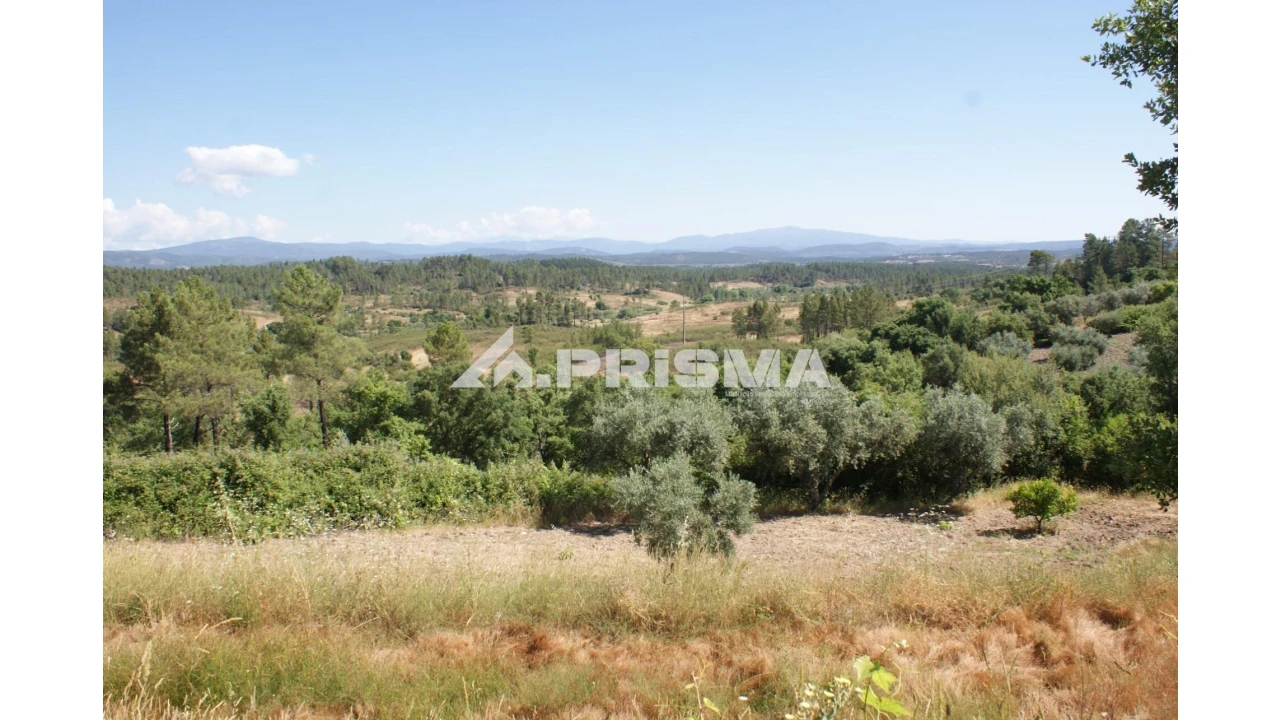 Terreno para Venda em Sarzedas Foto 9
