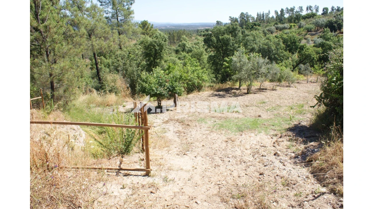 Terreno para Venda em Sarzedas Foto 22