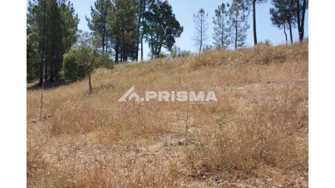 Terreno para Venda em Sarzedas