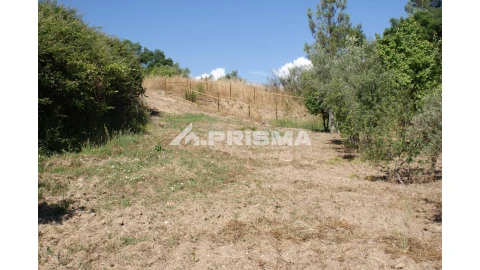 Terreno para Venda em Sarzedas